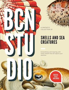 Shells and Sea Creatures (BCN Studio Illustrations) (eBook, ePUB) - Adams, Bella