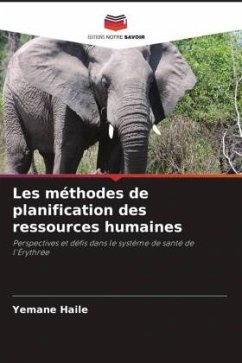 Les méthodes de planification des ressources humaines - Haile, Yemane