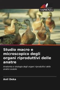 Studio macro e microscopico degli organi riproduttivi delle anatre - Deka, Anil