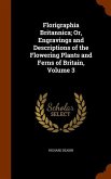 Florigraphia Britannica; Or, Engravings and Descriptions of the Flowering Plants and Ferns of Britain, Volume 3