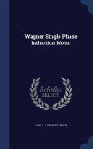 Wagner Single Phase Induction Motor