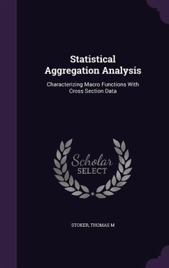 Statistical Aggregation Analysis: Characterizing Macro Functions With Cross Section Data - Stoker, Thomas M.