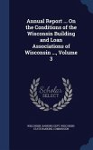 Annual Report ... On the Conditions of the Wisconsin Building and Loan Associations of Wisconsin ..., Volume 3