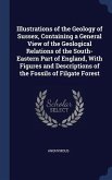Illustrations of the Geology of Sussex, Containing a General View of the Geological Relations of the South-Eastern Part of England, With Figures and Descriptions of the Fossils of Filgate Forest