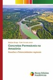 Concretos Permeáveis na Amazônia