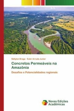 Concretos Permeáveis na Amazônia - Braga, Nállyton;Arruda Junior, Euler