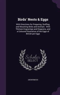 Birds' Nests & Eggs - Anonymous