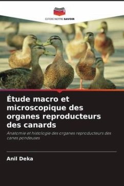 Étude macro et microscopique des organes reproducteurs des canards - Deka, Anil