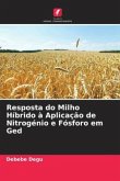 Resposta do Milho Híbrido à Aplicação de Nitrogénio e Fósforo em Ged