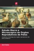 Estudo Macro e Microscópico de Órgãos Reprodutivos de Patos