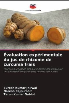 Évaluation expérimentale du jus de rhizome de curcuma frais - Jhirwal, Suresh Kumar;Rajpurohit, Naresh;Gahlot, Tarun Kumar