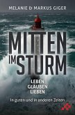 Mitten im Sturm (eBook, ePUB)