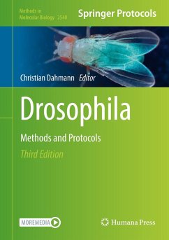 Drosophila (eBook, PDF)