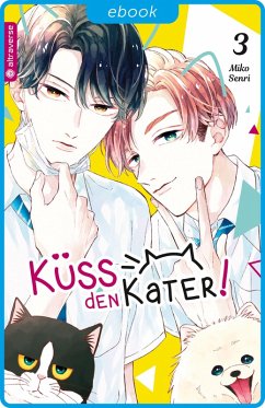 Cover Küss den Kater Bd.3 (eBook, ePUB)