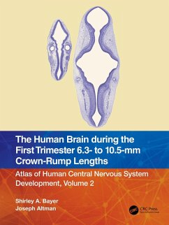 The Human Brain during the First Trimester 6.3- to 10.5-mm Crown-Rump Lengths (eBook, PDF) - Bayer, Shirley A.; Altman, Joseph