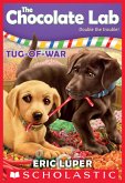 Tug-of-War (eBook, ePUB)