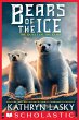 The Quest of the Cubs (eBook, ePUB) - Bild 1