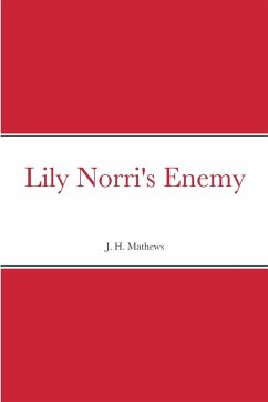 Lily Norri's Enemy - Mathews, J. H.