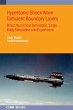 Hypersonic Shock Wave Turbulent... - Bild 1