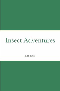 Insect Adventures - Fabre, J. H.