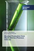 Biodisel Production from Waste Shirmp (Peaneus Indicus)