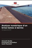 Analyse numérique d'un brise-lames à berme