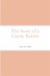 The Story of a Candy Rabbit - Bild 1