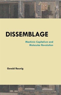 Dissemblage - Raunig, Gerald