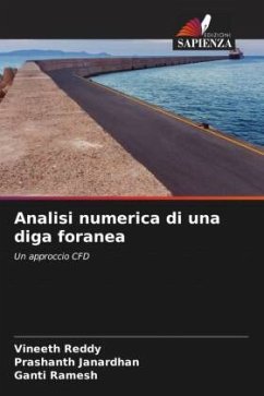 Analisi numerica di una diga foranea - Reddy, Vineeth;Janardhan, Prashanth;Ramesh, Ganti