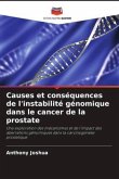 Causes et conséquences de l'instabilité génomique dans le cancer de la prostate