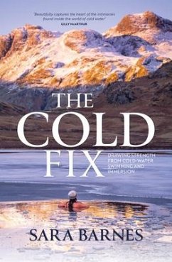 The Cold Fix - Barnes, Sara