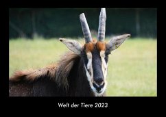 Welt der Tiere 2023 Fotokalender DIN A3 - Tobias Becker