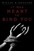 It Was Meant to Bind You (eBook, ePUB)