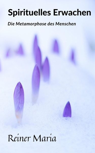 Spirituelles Erwachen (eBook, ePUB)