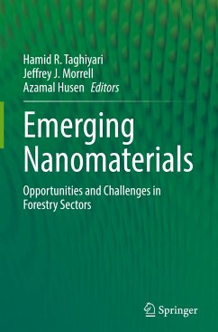 Emerging Nanomaterials