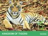 Kingdom of Tigers - Tadoba - Bild 1