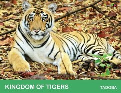 Kingdom of Tigers - Tadoba - J. Santhosh