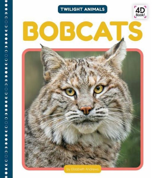 Bobcats Bobcats