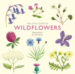 The Little Guide to Wildflowers - Davies, Alison