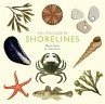 The Little Guide to Shorelines - Bild 1