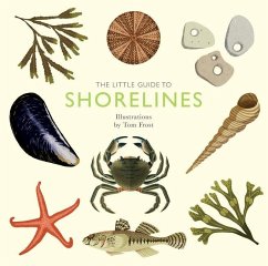 The Little Guide to Shorelines - Davies, Alison