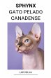 Sphynx (Gato Pelado Canadense) - Bild 1