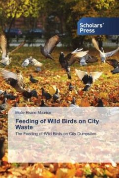 Feeding of Wild Birds on City Waste - Maurice, Melle Ekane