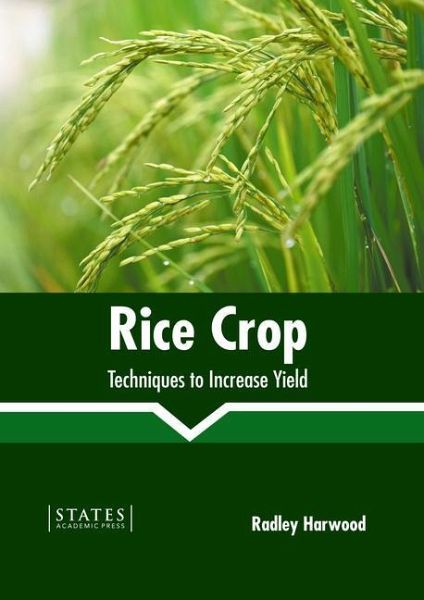 Rice Crop: Techniques to Increase Yield Rice Crop: Techniques to Increase Yield