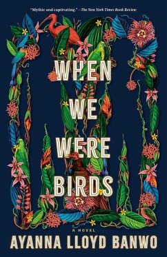 When We Were Birds - Banwo, Ayanna Lloyd