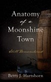 Anatomy of a Moonshine Town