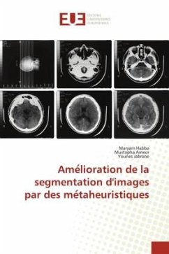 Ame¿lioration de la segmentation d'images par des me¿taheuristiques - Habba, Maryam;Ameur, Mustapha;Jabrane, Younes