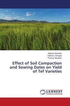 Effect of Soil Compaction and Sowing Dates on Yield of Tef Varieties