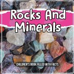 Rocks And Minerals