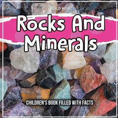 Rocks And Minerals - Johns, William